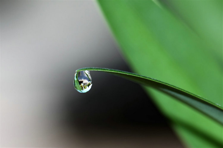 氨氮測(cè)定儀