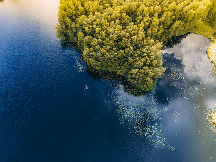 氨氮總氮