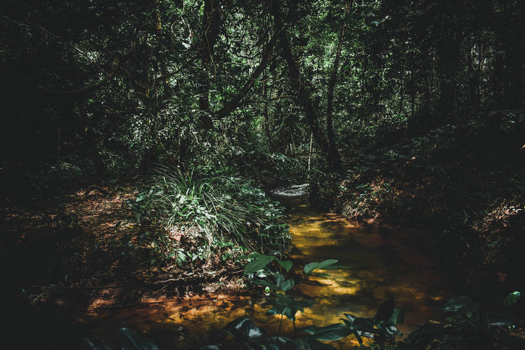 氨氮檢測(cè)儀