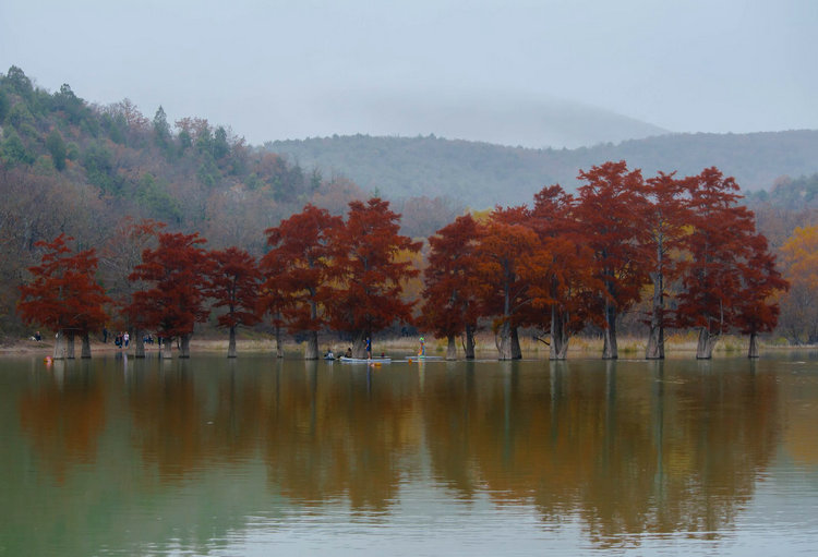 氨氮